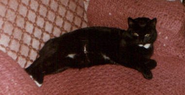 Minky 1982 - also mit 3 Jahren