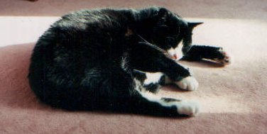 Moritz ruht sich aus